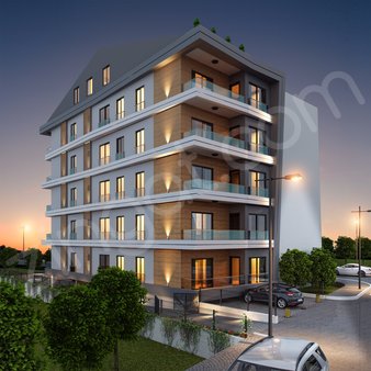 Newplus İkon