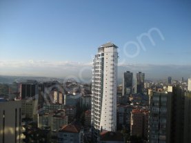 Selenium Panorama